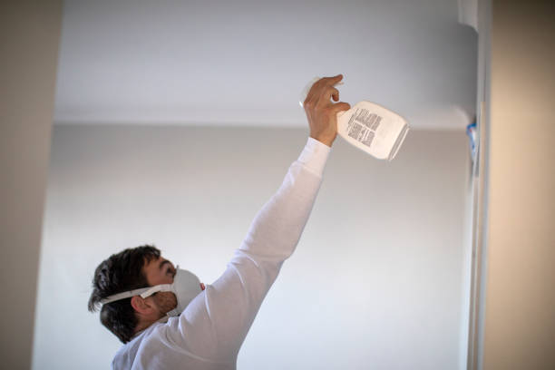 Mold Removal Process in Marist College, NY
