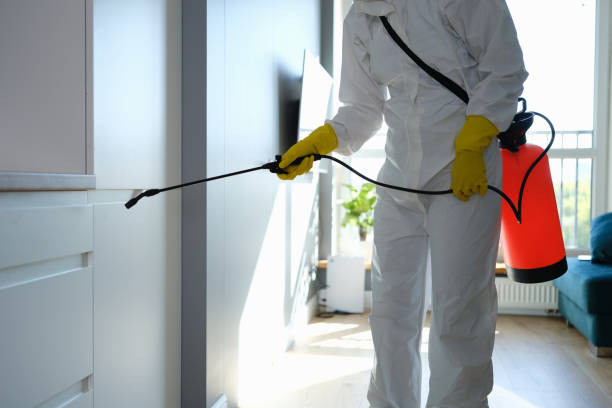 Best Commercial Mold Removal  in Marist College, NY
