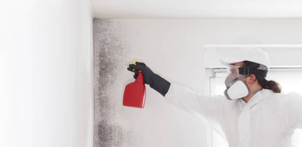 Crawl Space Mold Removal in Marist College, NY